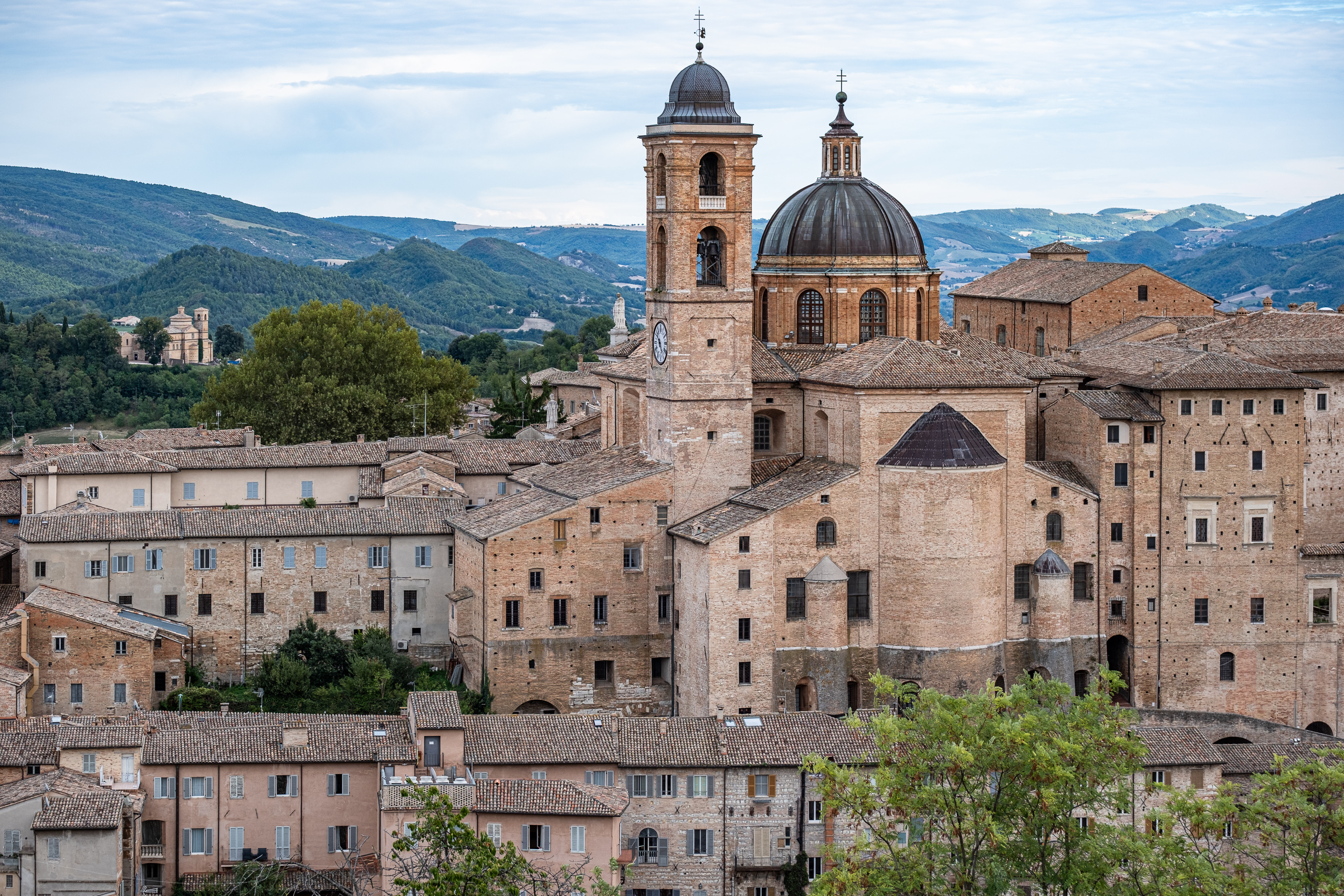 Dom und Palazzo Ducale über den Dächern von Urbino